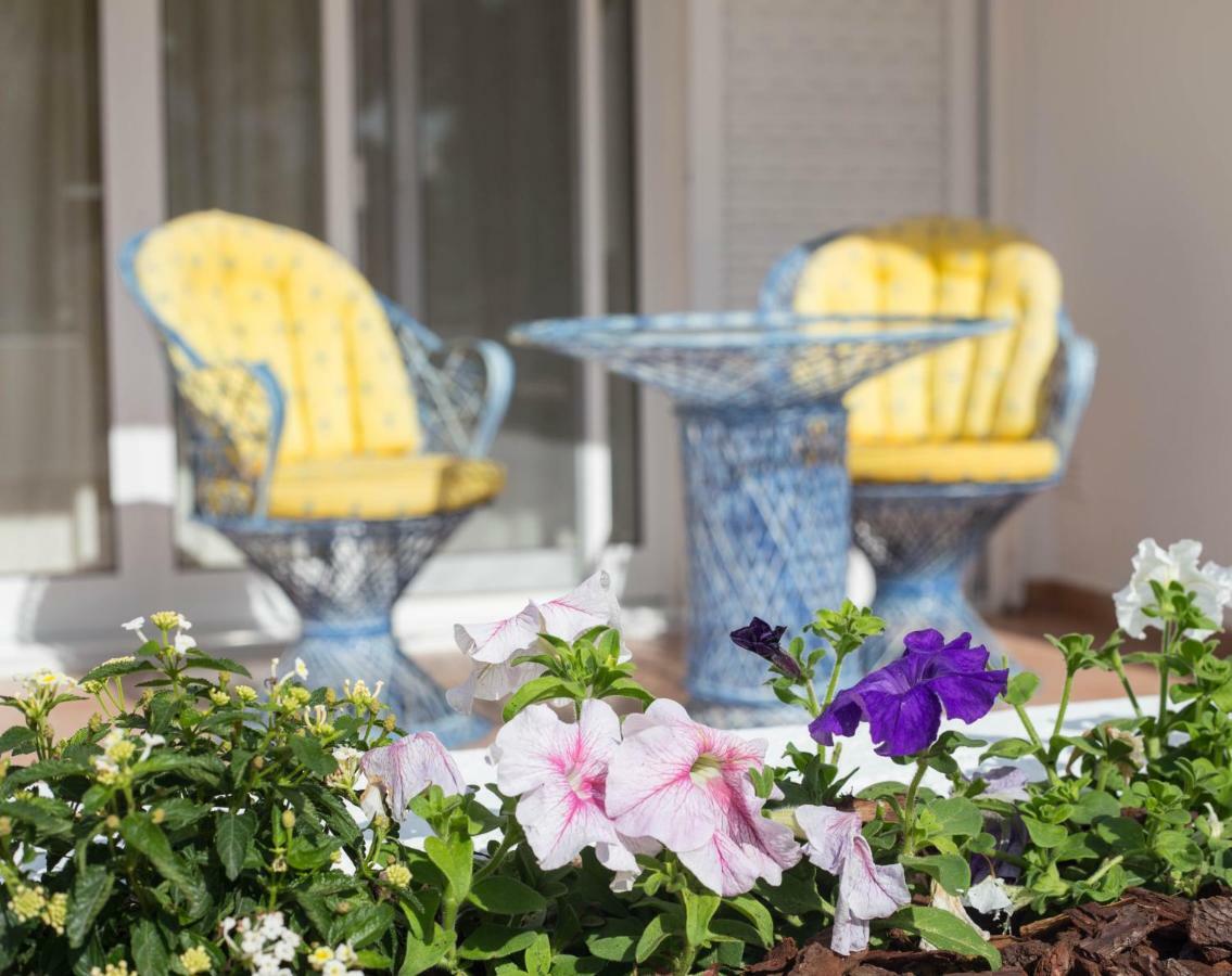 Casa Das Flores Vale do Lobo Zewnętrze zdjęcie